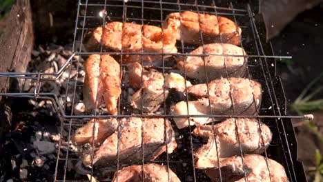 grilled salmon on a barbecue grill