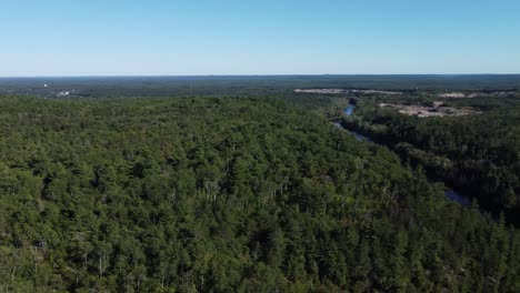 Canadian-roadway-winding-through-dense-forest-with-distant-horizon