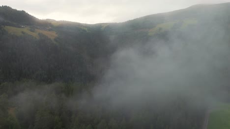 aerial flying through misty fog over forest trees
