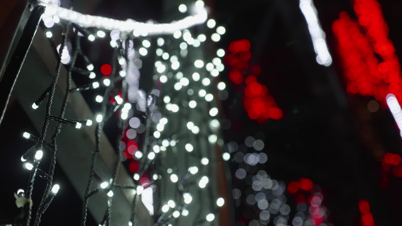 크리스마스 꽃받침과 황금빛, 클로즈업, 흐릿한 크리스마스 불빛.