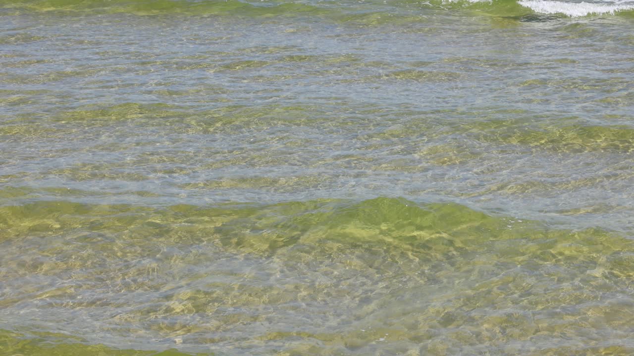 조용한 물 표면과 미묘한 파도 움직임