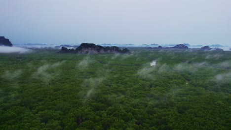 aerial view of lush mangroves with patches of cloud hanging over phang nga bay, thailand