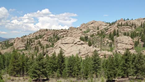 Drone-view-of-a-forest-growing-up-on-mountains-in-Colorado