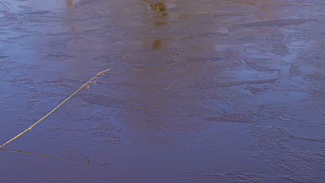 Ice-cold-river-melting-with-passage-of-seasons-timelapse