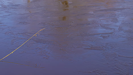 río helado que se derrite con el paso de las estaciones timelapse