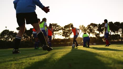 Low-section-of-diverse-female-soccer-team-training-4k