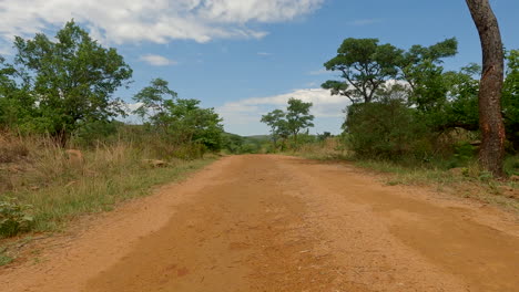 a dirt road surrounded by trees leads into the distance under a bright blue sky in a rural setting