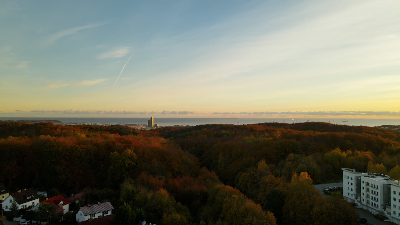 Autumn-Colored Forest Of Witomin And Colorful Horizon At Dawn In Gdynia City, Poland