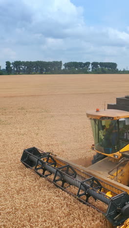 farming summer landscapes combine. harvesting industrial machine working in the field. vertical video