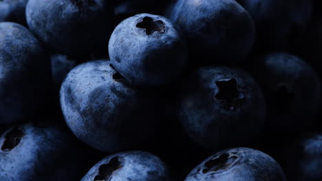 close up blueberries. organic and healthy food