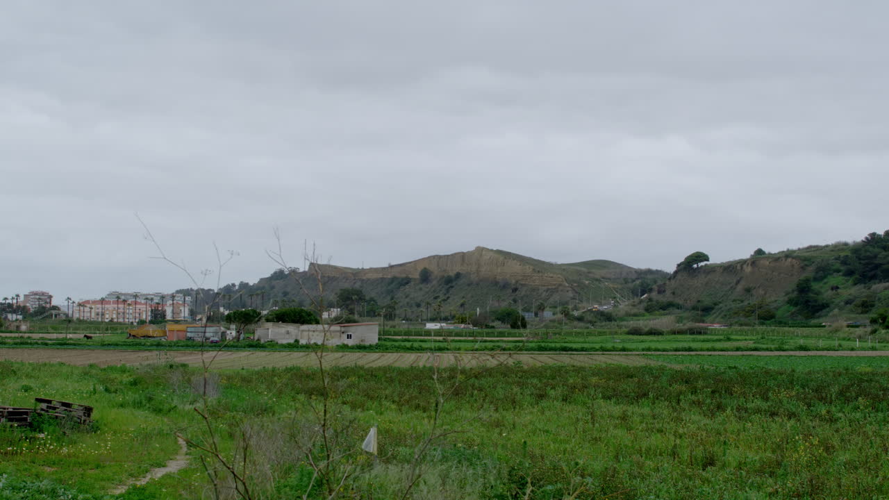 A static framing of a green field.