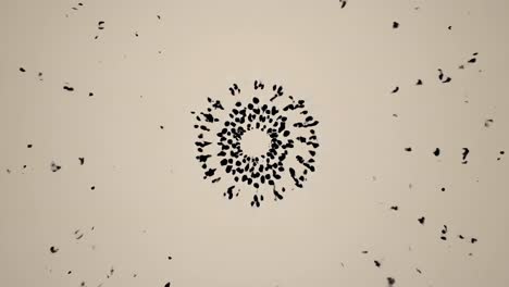 abstract mandala pattern