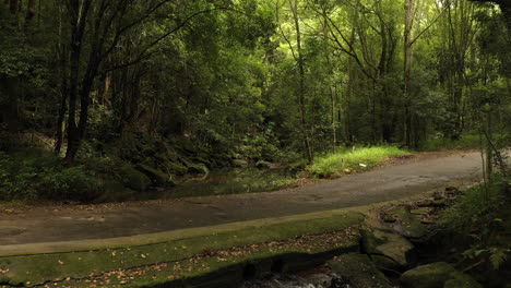 4k aerial shot of a small road and a river stream in the tropical rain forest of new south wales, australia