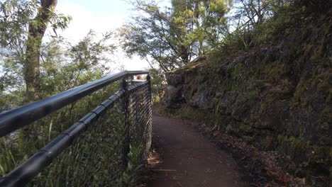 Bushwalk-Rastrea-La-Aventura-Con-La-Cerca-De-Alambre-En-Katoomba,-Blue-Mountains-Sydney,-Australia