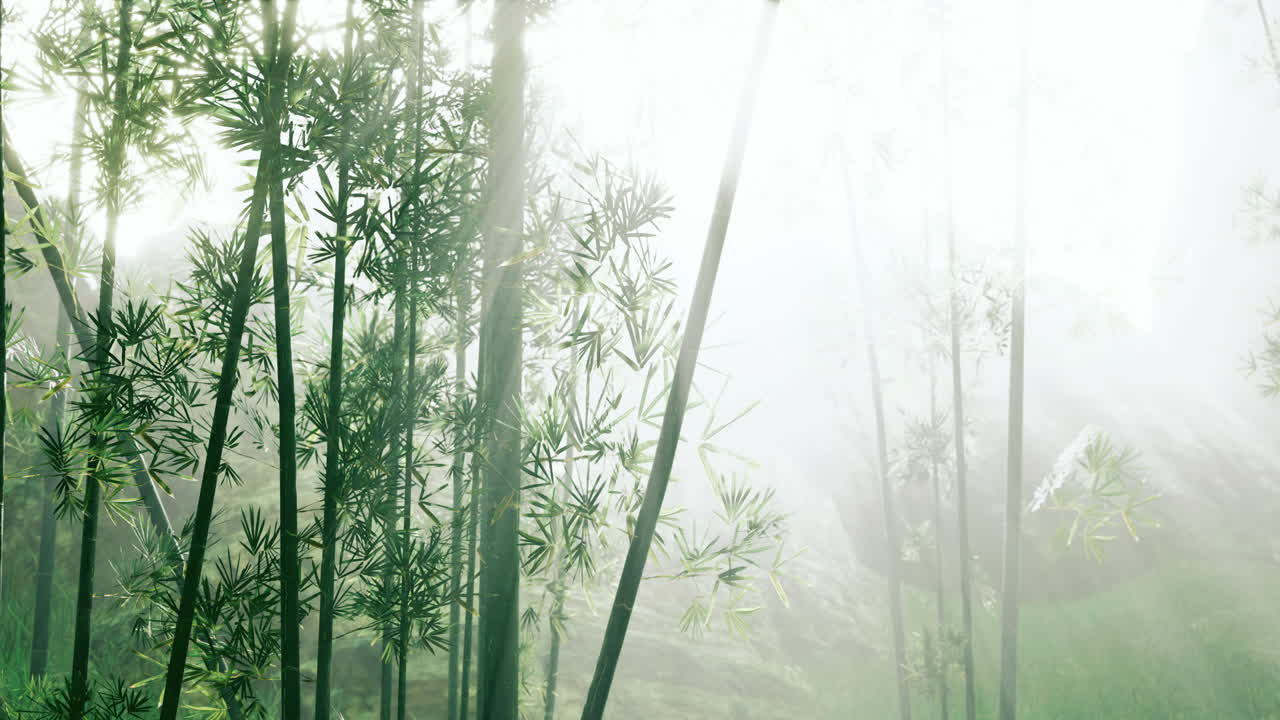 selvas tropicales del sudeste asiático