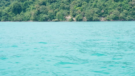 tranquil turquoise waters and lush forest