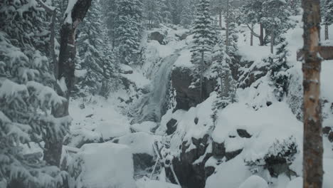 winter waterfall in a snowy forest