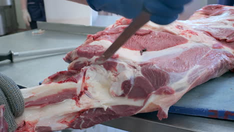 cutting raw beef carcass