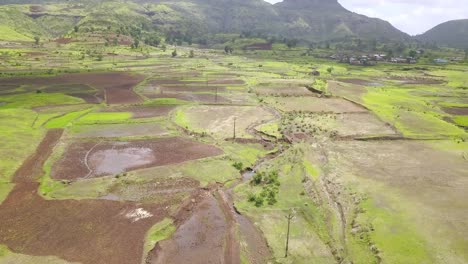 road and flooded rice paddy fields, western ghats, india, aerial back