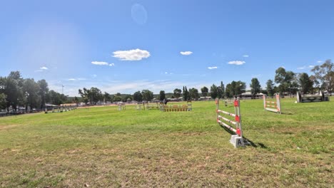 horse jumping over obstacles in a field