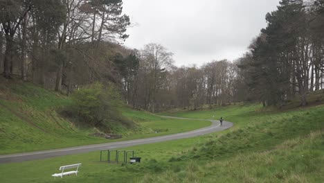 slow motion tilt shot of person riding bicycle at phoenix park, dublin, ireland