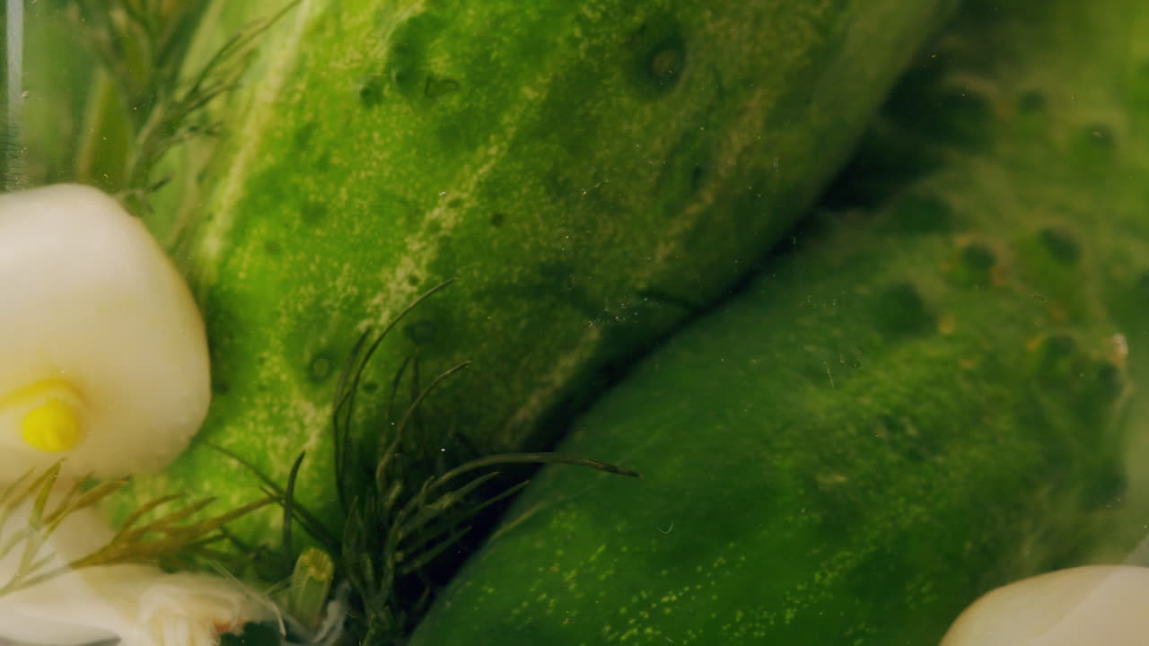 Close-up of fermented cucumbers with garlic in can. Preservation of vegetables in glass jars. Fermentation preserved cucumbers with spices. Russian cuisine.