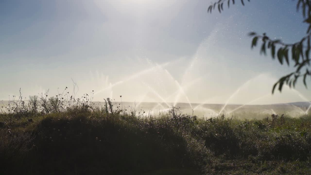 농업용 관개. 스프링클러 관개 시스템이 느리게 움직입니다.