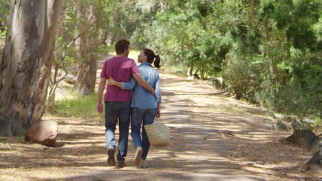 Vista-Trasera-De-Una-Pareja-Romántica-Caminando-Por-El-Sendero-Del-Bosque.