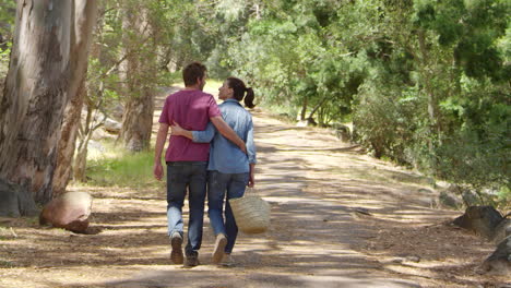 vista trasera de una pareja romántica caminando a lo largo de un camino forestal