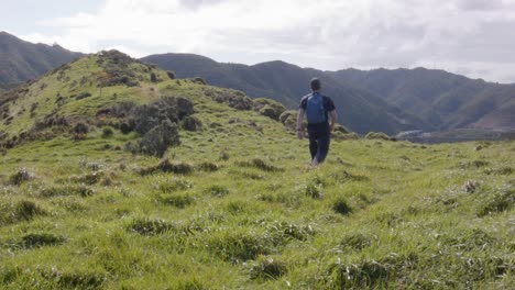 a day hiker walking away from the camera on a grass trail