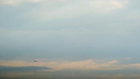 Silhouetted-Wild-Birds-Flying-Against-Overcast-Sky