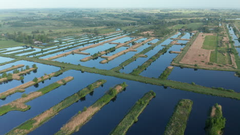 paisaje del polder holandés, pastos y tierras de cultivo cerca de weerribben, países bajos - retirada aérea