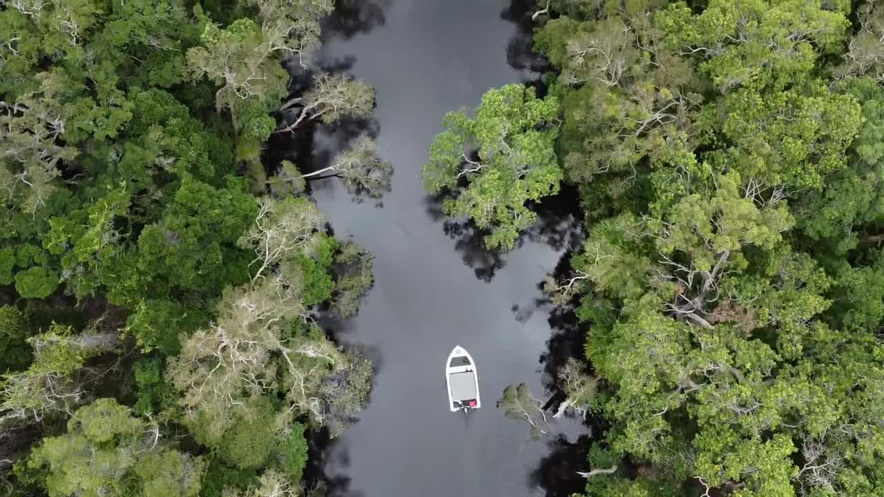 맹그로브를 가로질러 보트 타기