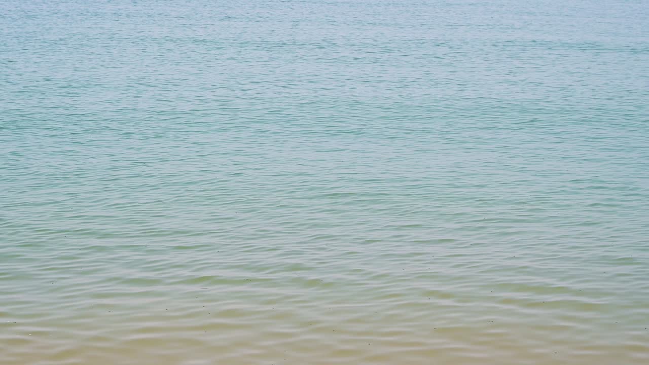 바다의 파동은 자연의 반사와 함께 4k 해상도입니다.