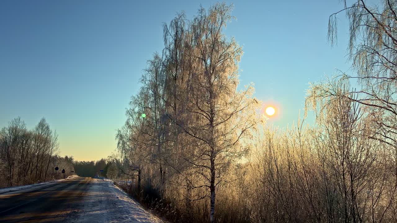 Gyldent sollys på frostklædte vintertræer og sneklædt vej