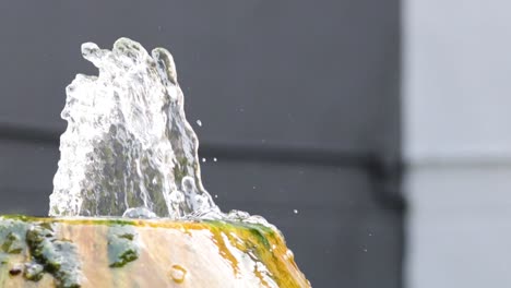 close-up of water fountain in motion