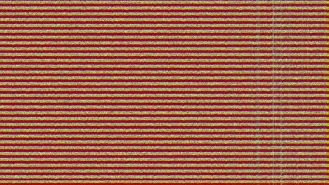 animation of digital interface recording on screen with glitch on red background