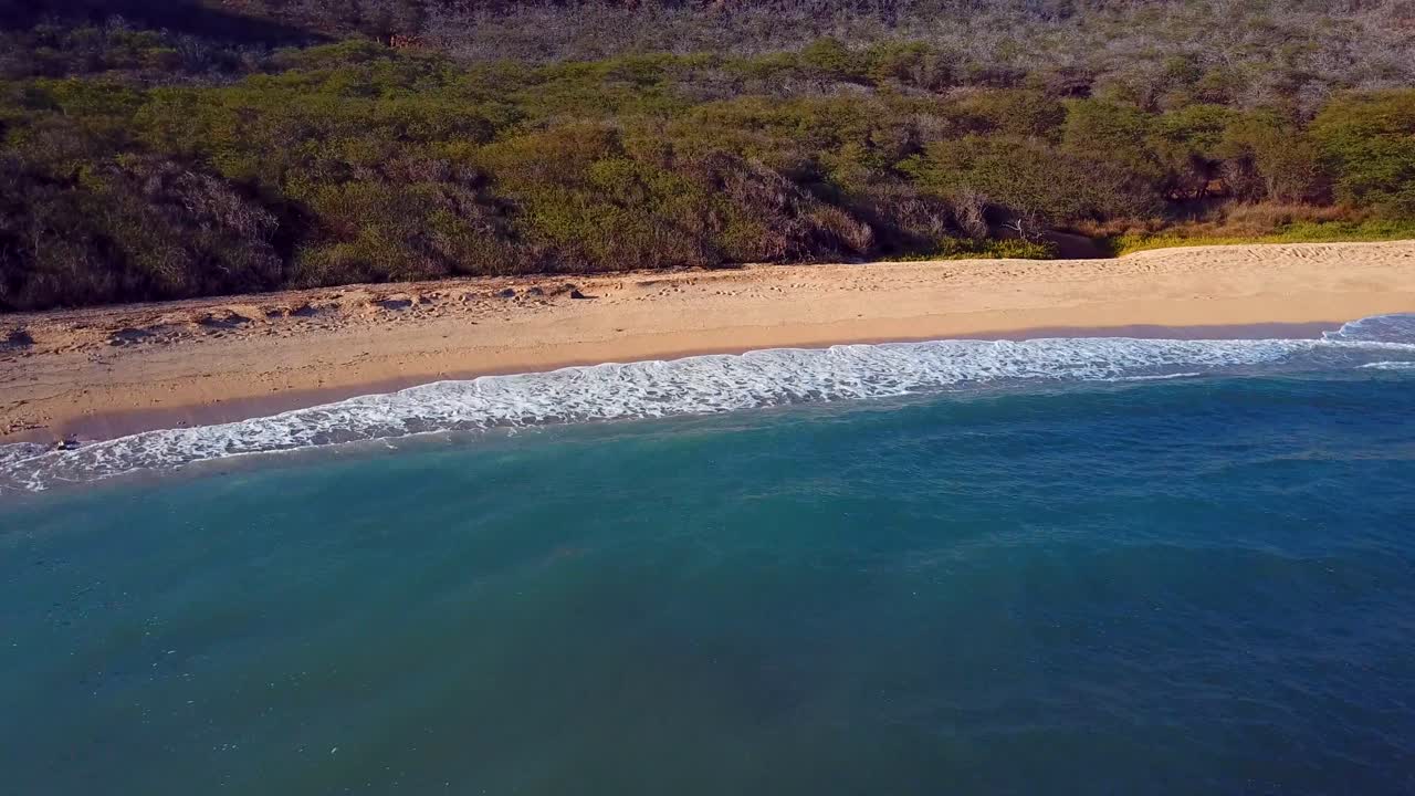 buena toma aérea sobre la playa y la costa de molokai hawaii 3