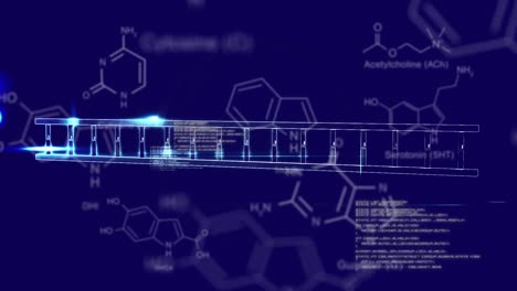 animación de la cadena de adn girando sobre el procesamiento de datos