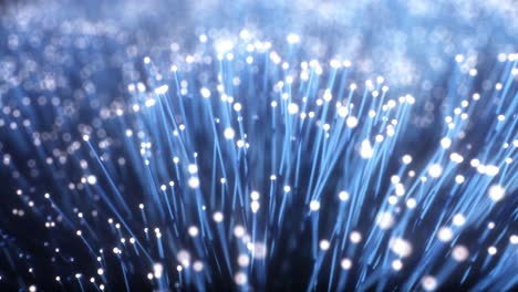 fiber optic cables close-up