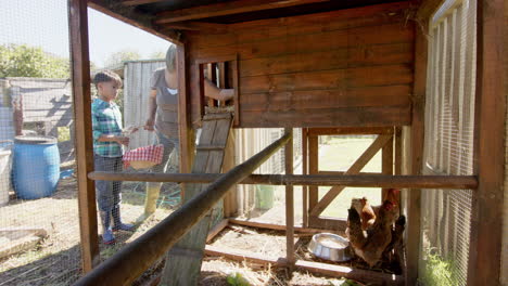 Happy-biracial-grandmother-and-grandson-picking-eggs-from-henhouse,-slow-motion,-copy-space