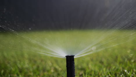 Automatic-watering-system-watering-the-garden.-Bottom-view-of-the-high-pressure-nozzle