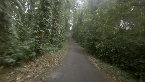 andar en bicicleta por un bosque en una motocicleta pequeña