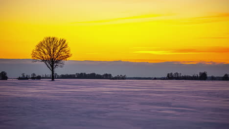 Hermoso-Cielo-De-Puesta-De-Sol-A-Través-Del-Campo-Congelado-Y-Nubes-Moviéndose-En-El-Fondo,-Lapso-De-Tiempo