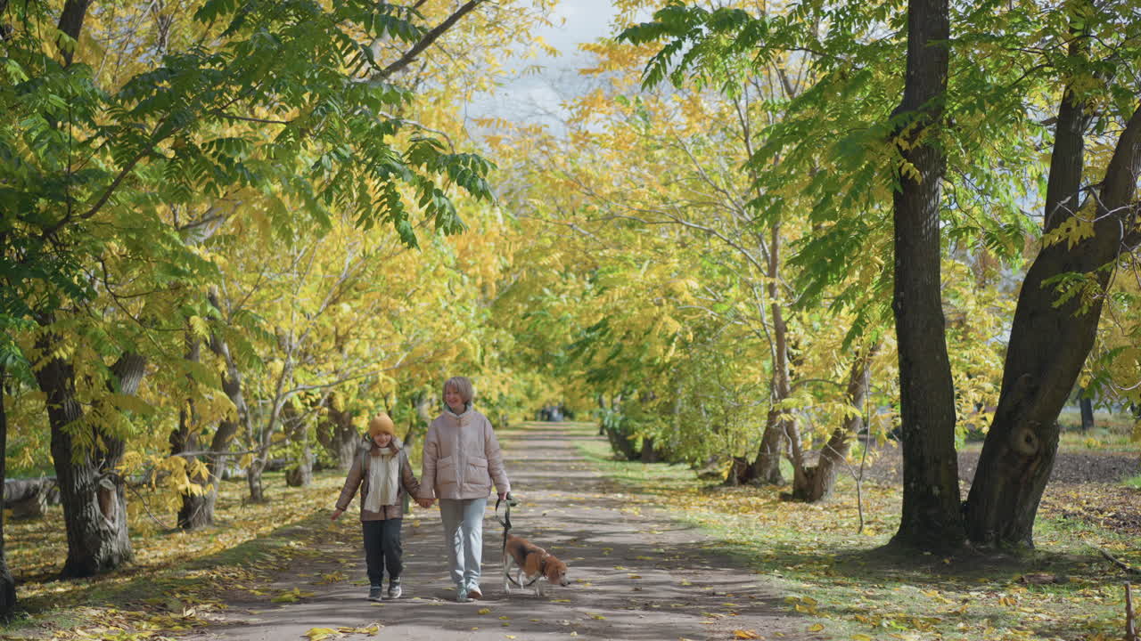Family strolls along quiet forest path lined with yellow autumn leaves while dog on leash sniffs ground curiously, surrounded by vibrant foliage, soft light, and relaxed atmosphere of fall afternoon