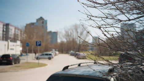 vista cercana de las ramas de los árboles en un estacionamiento urbano, rodeado de edificios modernos y coches estacionados, con un coche conduciendo una vista bokeh de alguien caminando desde la distancia