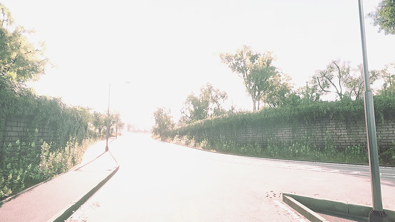 숲 한가운데 를 가로지르는 도로 의 사진