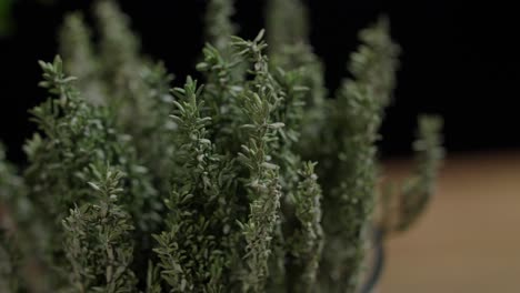 shifting focus of fresh thyme sprigs in a jar