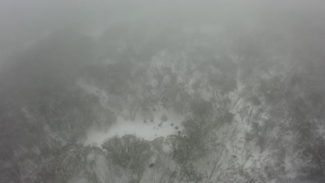 snowy winter aerial thru cloud: cricket pitch tent camp, mt stirling