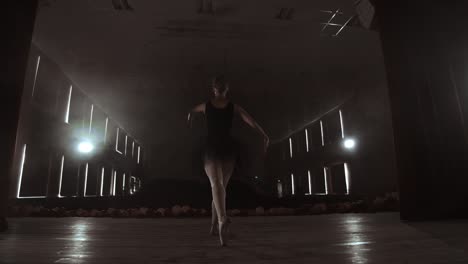 Prima ballet theatre on stage rehearsing performance in the smoke